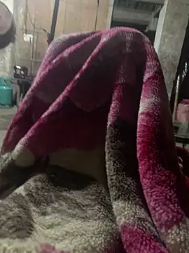 anh-soi123 online show from 03-11-26, 05:41