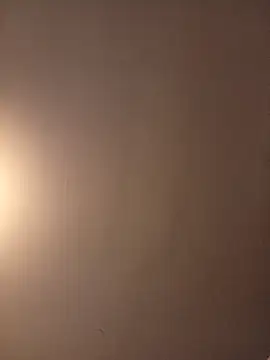 gatitachula93 online show from 03-28-26, 11:15