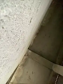 Lilik2 online show from 01-15-26, 08:08