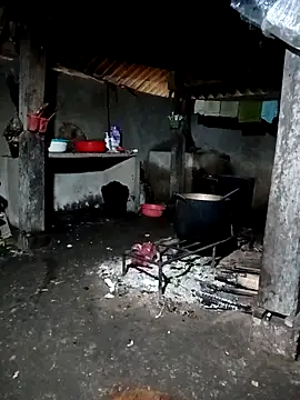 ava-dellght online show from 03-15-26, 12:49