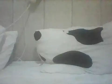 Thand03 online show from 05-26-26, 03:57