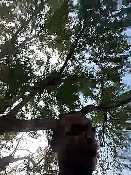 Snapshot of Andreskelly chatting on 03-17-26, 03:15 Andreskelly online show from 03-17-26, 03:15