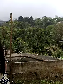  CTMay 77 online show from 04-01-26, 04:02