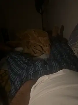 Snapshot of Night_outcam chatting on 02-17-26, 07:20 Night outcam online show from 02-17-26, 07:20