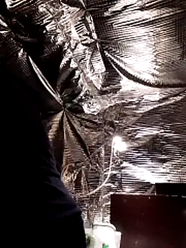 Quebec46 online show from 02-20-26, 10:10