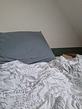 Snapshot of Ghost_Pie chatting on 04-13-26, 05:07 Ghost Pie online show from 04-13-26, 05:07