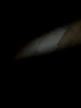 Snapshot of silentman777 chatting on 12-22-25, 12:13 silentman777 online show from 12-22-25, 12:13