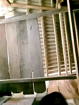 DIANAKUTE online show from 03-08-26, 03:32