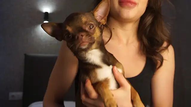 linclars online show from 03-06-26, 01:40