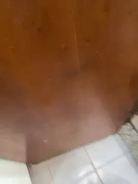 Snapshot of jeanramon01 chatting on 03-20-26, 07:30 jeanramon01 online show from 03-20-26, 07:30