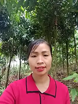 Snapshot of xiaogoal chatting on 06-11-26, 03:15 xiaogoal online show from 06-11-26, 03:15