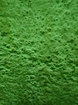 Pagelboy 089 online show from 04-08-26, 11:59