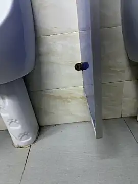 Toilet-public online show from 03-25-26, 04:13