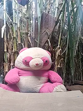 leona118 online show from 02-11-26, 01:32