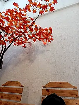 Dante Knox online show from 04-05-26, 11:18