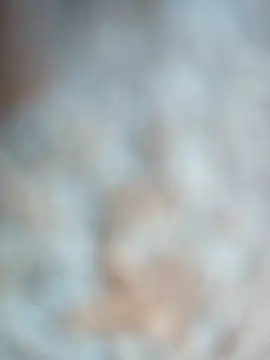 talytah online show from 02-19-26, 09:27