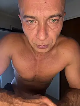 dogfrota online show from 03-10-26, 04:06