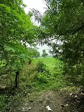 Shivanisingh4 online show from 07-21-26, 06:27