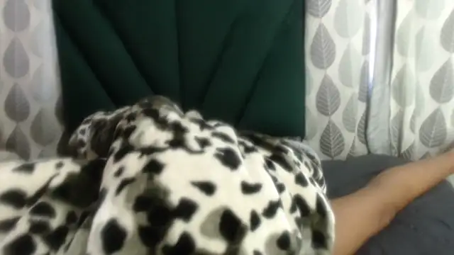 Snapshot of Nellybba chatting on 03-27-26, 05:46 Nellybba online show from 03-27-26, 05:46