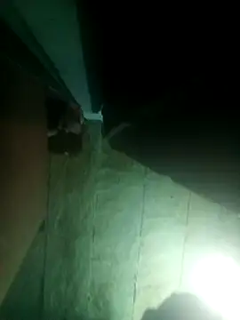 Snapshot of priyasharma899 chatting on 03-13-26, 12:06 priyasharma899 online show from 03-13-26, 12:06