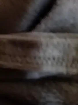 Daisy91 online show from 01-14-26, 03:06