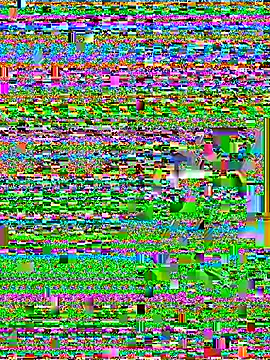 Wicy23 online show from 05-29-26, 03:48