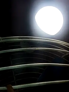 cutee Baby angel online show from 02-20-26, 08:20