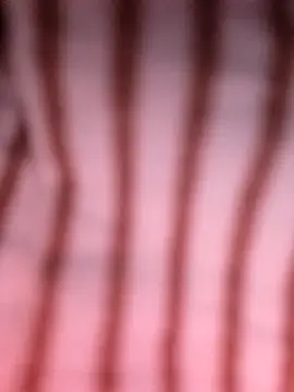 Heo xxinhxx online show from 04-14-26, 11:11