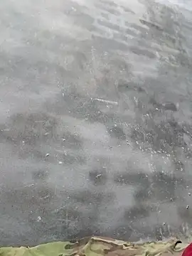 Sgs594802799 online show from 04-02-26, 01:20