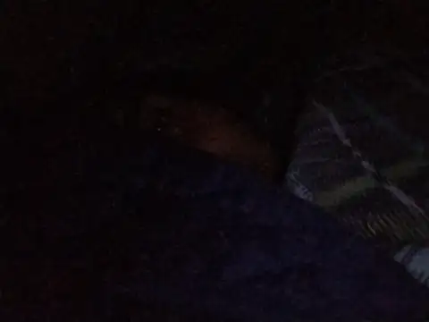 MickeySexyyy online show from 07-09-26, 03:43