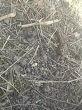 Cute Boy 4 online show from 03-08-26, 07:45