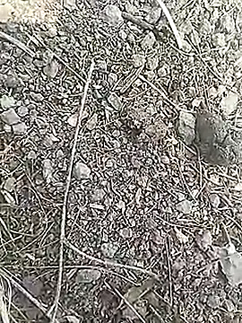 Cute Boy 4 online show from 03-18-26, 07:00