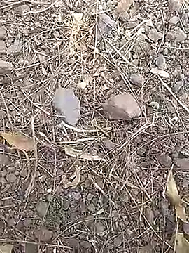 Cute Boy 4 online show from 03-19-26, 07:45