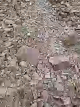 Cute Boy 4 online show from 07-14-26, 02:01
