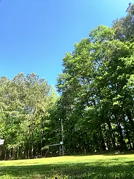 magic man1085 online show from 04-18-26, 02:54