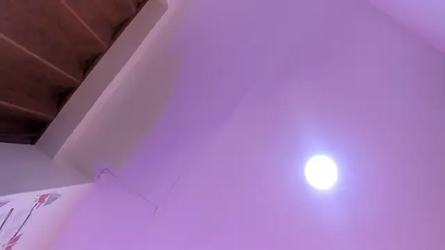 Paris Velvet online show from 04-08-26, 10:32