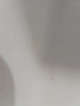 ONixCris online show from 03-13-26, 06:20