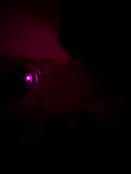 Raj teluguboy online show from 03-06-26, 07:43