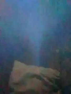 S7LEALTADPERVLIMA7 online show from 07-02-26, 03:56