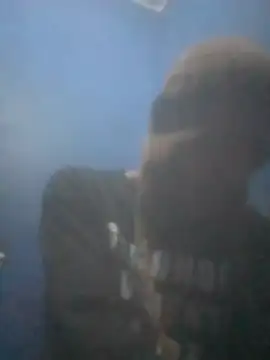S7LEALTADPERVLIMA7 online show from 07-14-26, 04:06