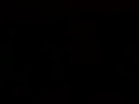 Tommyzzzzzz online show from 12-29-24, 02:17