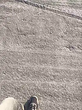 stallone italiano 62 online show from 03-23-26, 07:23