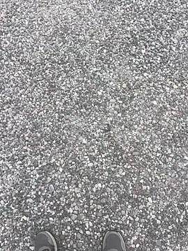 stallone italiano 62 online show from 04-12-26, 06:18