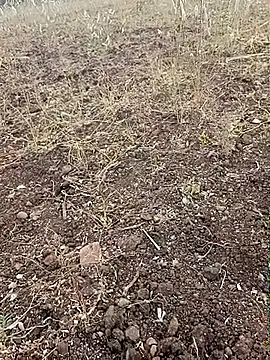 Snapshot of yusu_3 chatting on 02-23-26, 11:40 yusu 3 online show from 02-23-26, 11:40