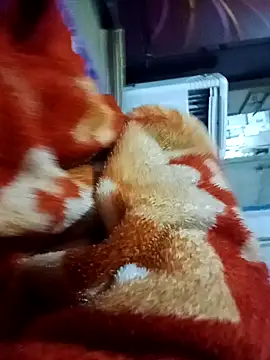 Snapshot of yusu_3 chatting on 03-19-26, 06:45 yusu 3 online show from 03-19-26, 06:45