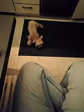 Ginevra01 online show from 03-09-26, 08:24