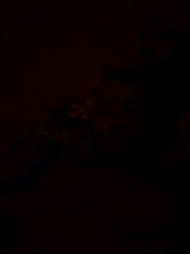 Blisiomar online show from 05-30-26, 12:52
