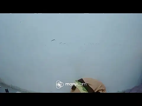 exotic girl69x online show from 03-04-26, 02:45