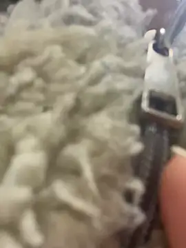 angell cooper8 online show from 03-22-26, 12:19