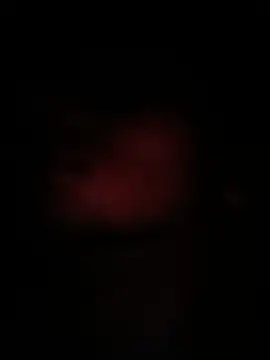 peanutbutteater online show from 06-09-26, 02:28